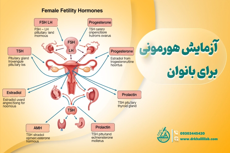 آزمایش هورمونی در زنان: انواع، نحوه انجام و تفسیر