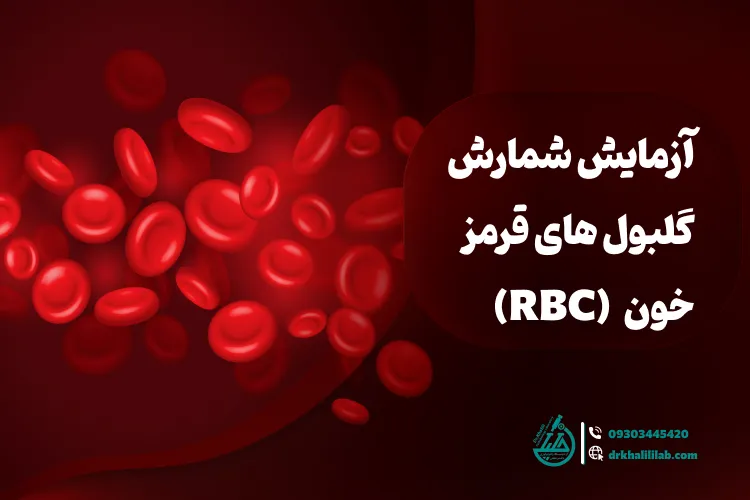 آزمایش خون RBC: کاربرد، علائم، آمادگی و تفسیر نتایج
