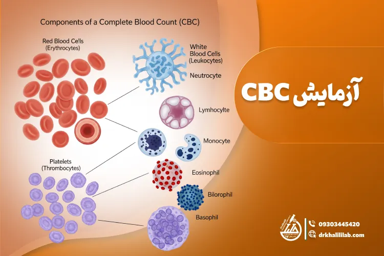 آزمایش CBC: شمارش کامل خون و تفسیر نتایج