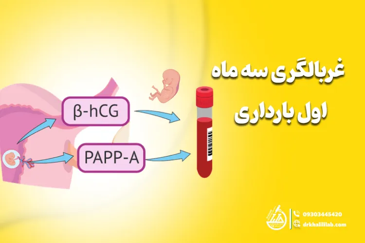 غربالگری سه ماهه اول بارداری