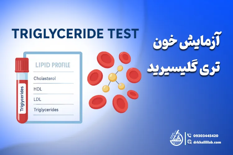 آزمایش خون تری گلیسیرید: راهنمای کامل و تفسیر نتایج