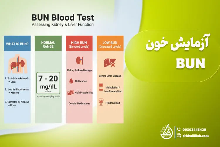 آزمایش نیتروژن اوره خون BUN و تفسیر کامل نتایج