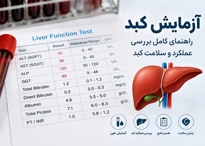 آزمایش کبد: انواع، آمادگی، نحوه انجام و تفسیر نتایج