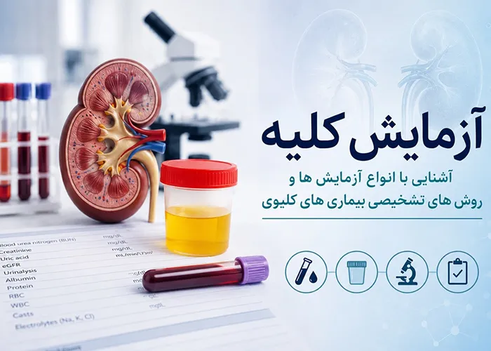 آزمایش کلیه: انواع، تفسیر نتایج و تشخیص بیماری کلیوی